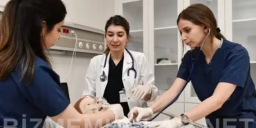 Hemşire Sayısı 2025 te 685 Kişi Azaldı Sağlık Bakanlığı Verileri Açıklandı